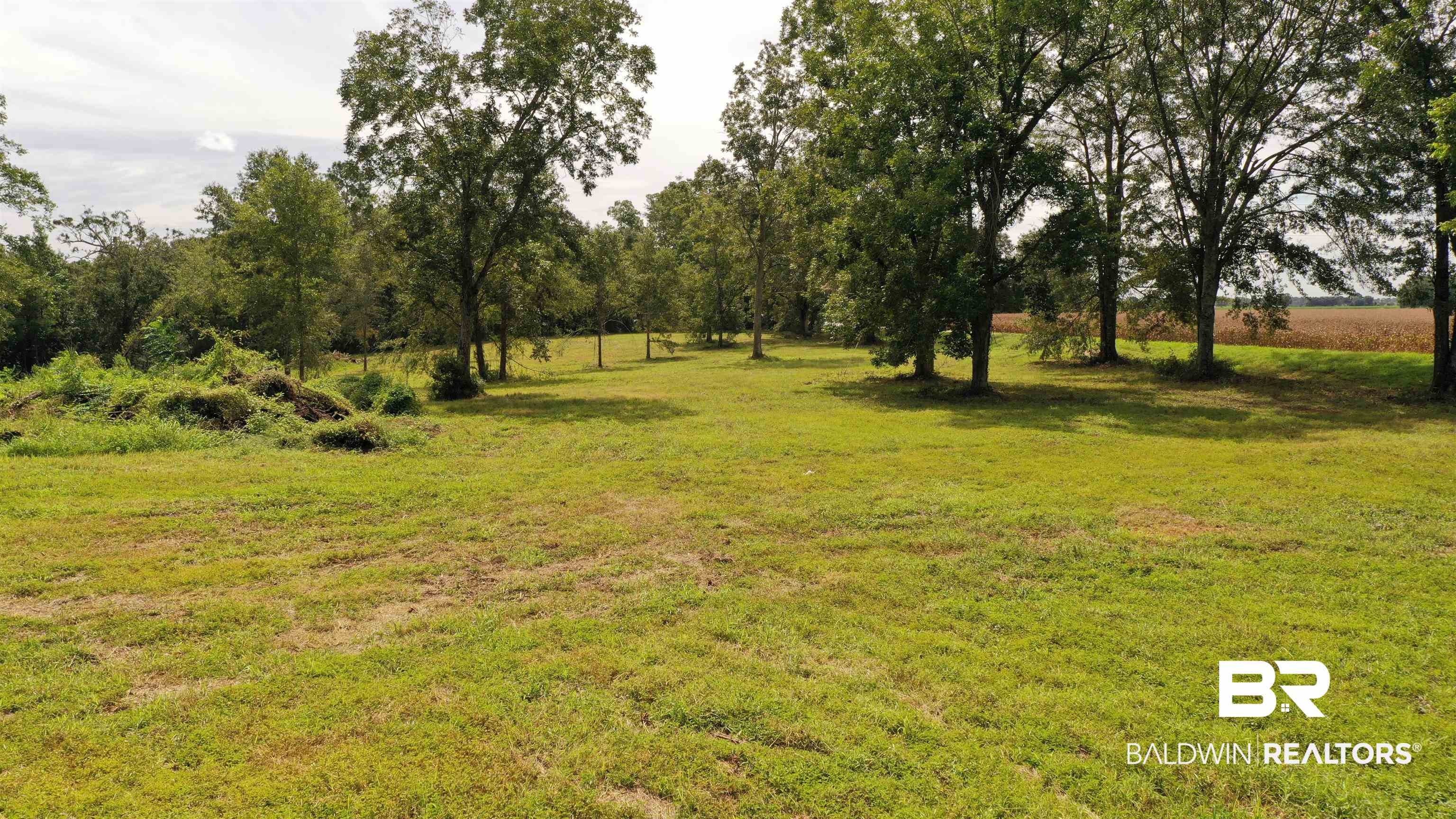 97 Walnuthill Walnut Hill, FL 32568 - Photo 22 of 36
