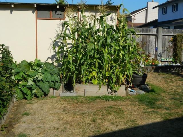 4519 Excelsior Road Eureka, CA 95503 - Photo 16 of 17 Gallery Image 16