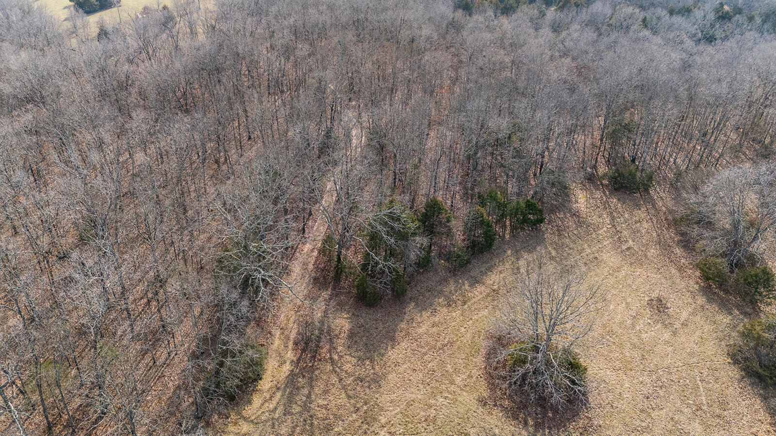 0 Abadyl Road Fordland, MO 65652 - Photo 20 of 25 DJI_20260303153304_0034_D