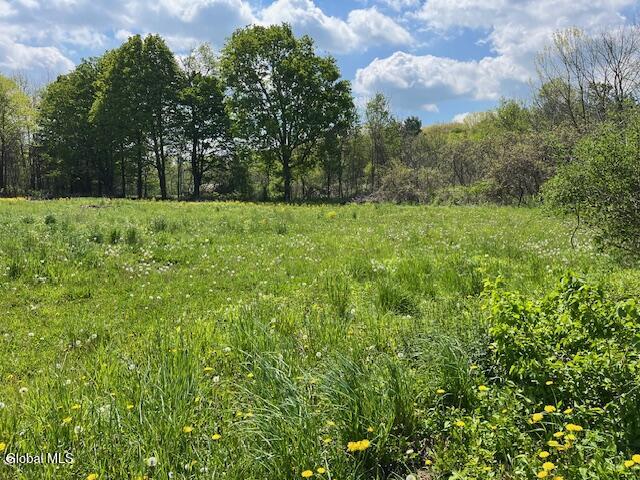 296 Evergreen Road Carlisle, NY 12043 - Photo 3 of 17 IMG_5335