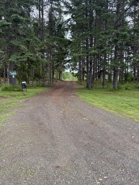 1337 East Plantation Road Blaine, ME 04734 - Photo 39 of 43 IMG_1117