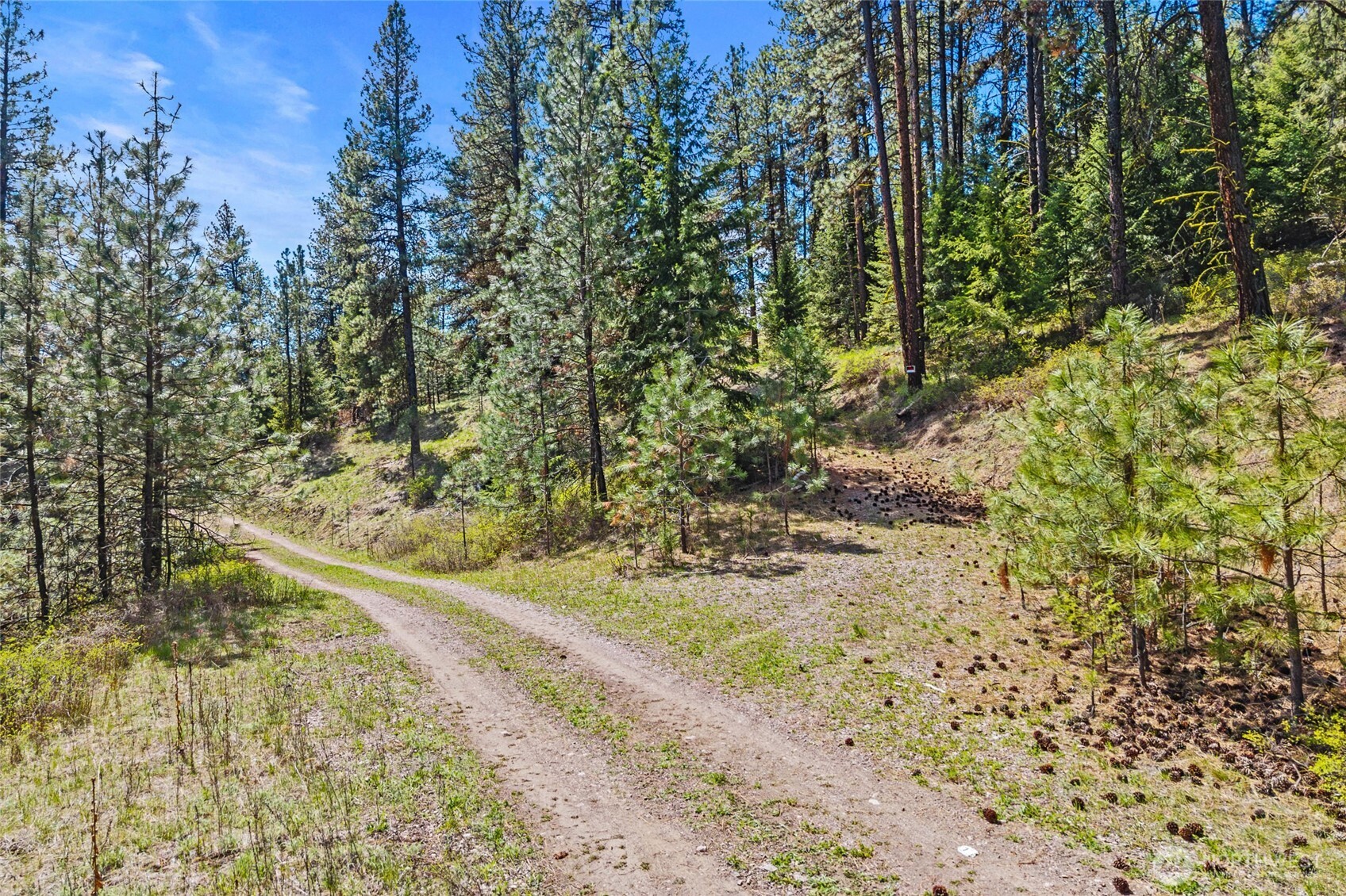 45-xxxx Klondike Road Republic, WA 99166 - Photo 13 of 19
