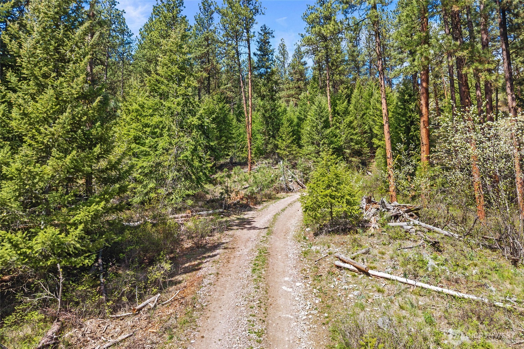 45-xxxx Klondike Road Republic, WA 99166 - Photo 4 of 19