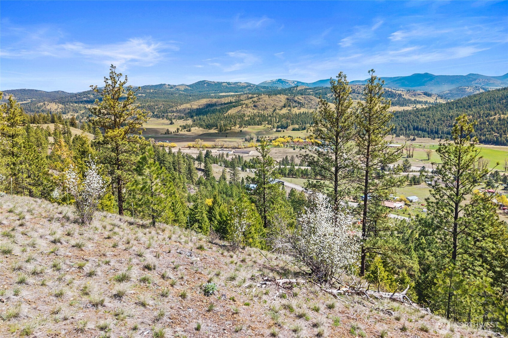 45-xxxx Klondike Road Republic, WA 99166 - Photo 6 of 19