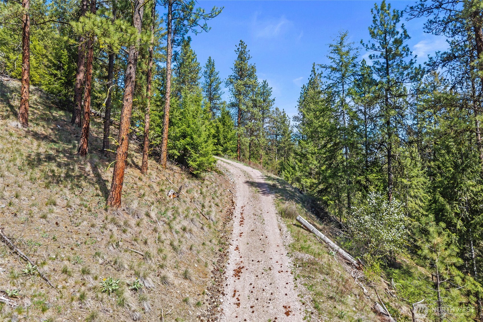 45-xxxx Klondike Road Republic, WA 99166 - Photo 8 of 19