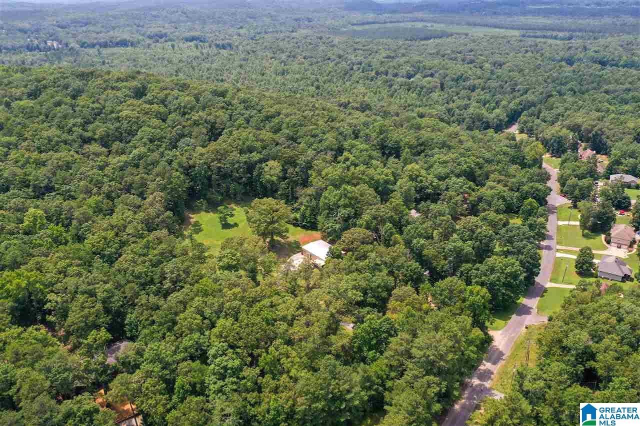 925 George Crowe Road Odenville, AL 35120 - Photo 47 of 50