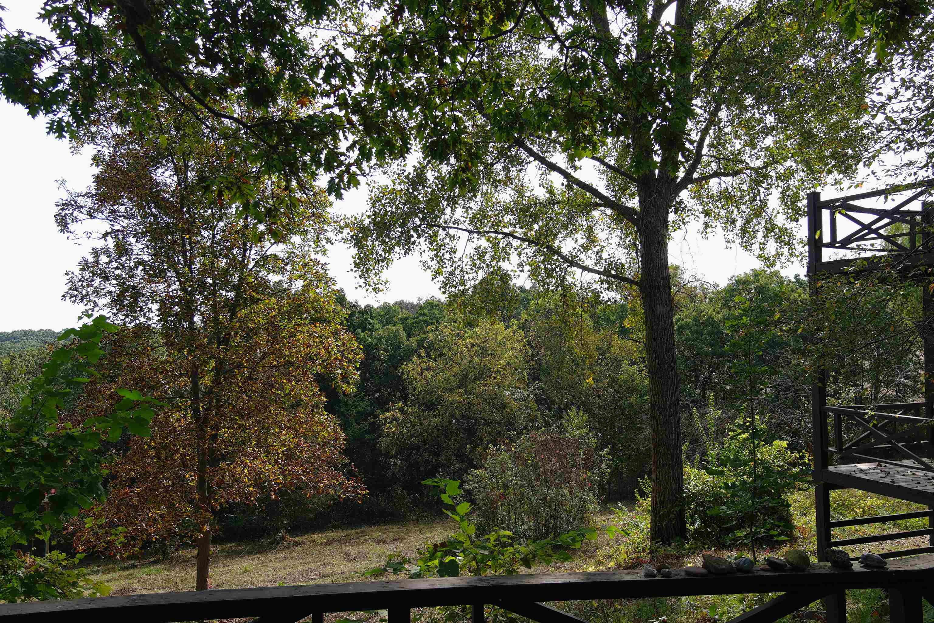 3961 High Point Road Spring Green, WI 53588 - Photo 45 of 56