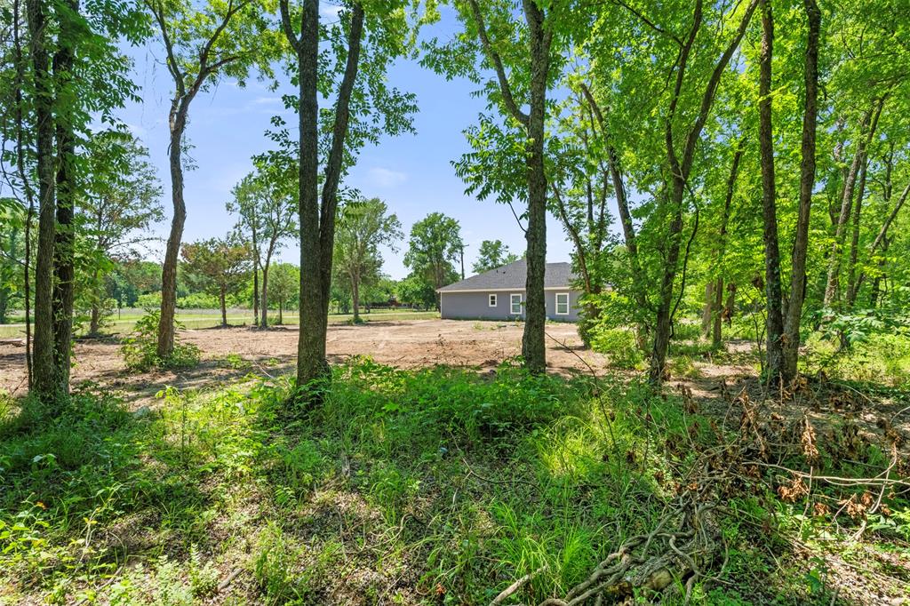 1011 Southeast County Road Corsicana, TX 75109 - Photo 33 of 40 a view of a yard with a tree