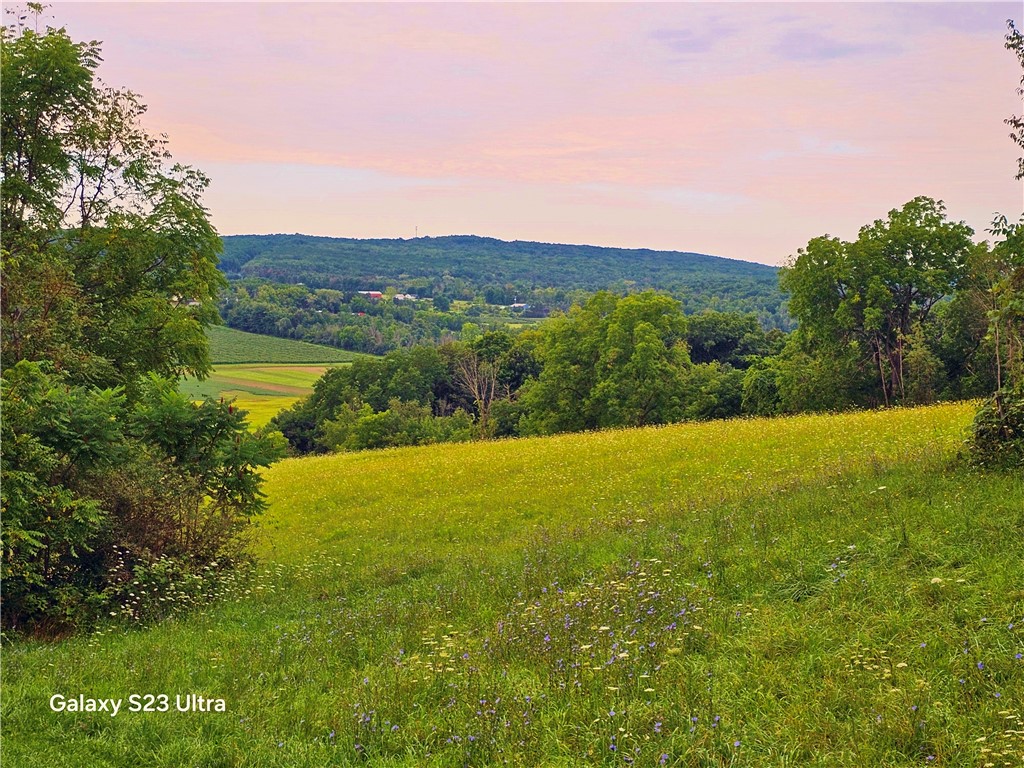 3256 State Route Keuka Park, NY 14478 - Photo 17 of 29 Gallery Image 17