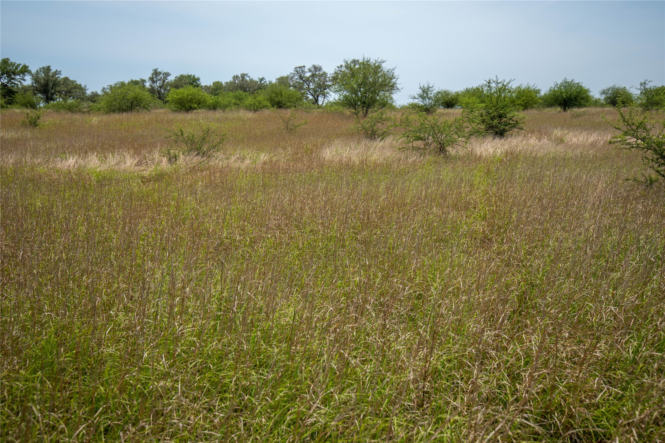 0 Green Dewitt Road Cuero, TX 77954 - Photo 38 of 40