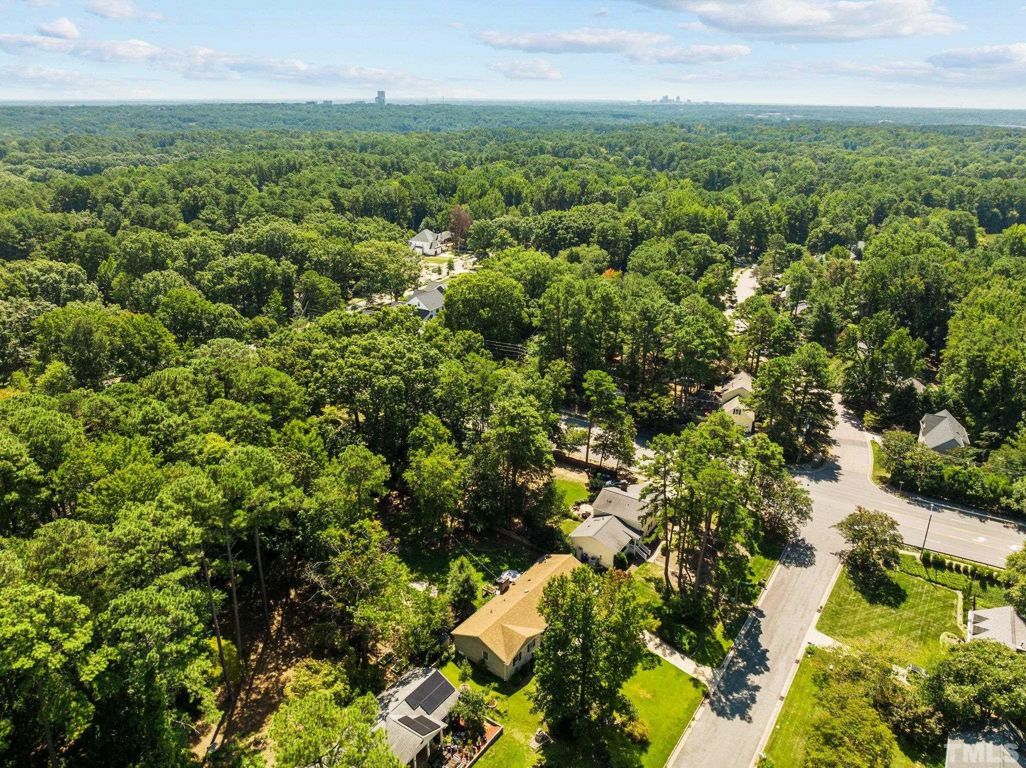 6704 Valley Drive Raleigh, NC 27612 - Photo 37 of 39 a view of a city with lush green forest