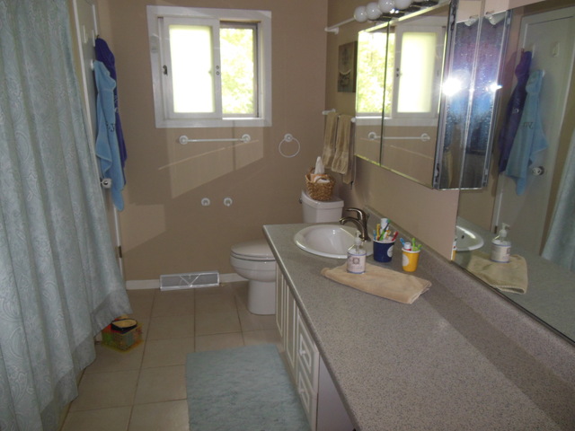 505 Courtland Avenue Park Ridge, IL 60068 - Photo 13 of 14