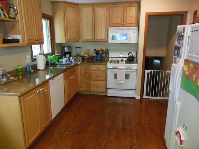 505 Courtland Avenue Park Ridge, IL 60068 - Photo 5 of 14