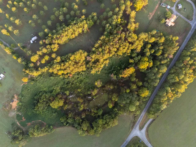 a view of tree from a window
