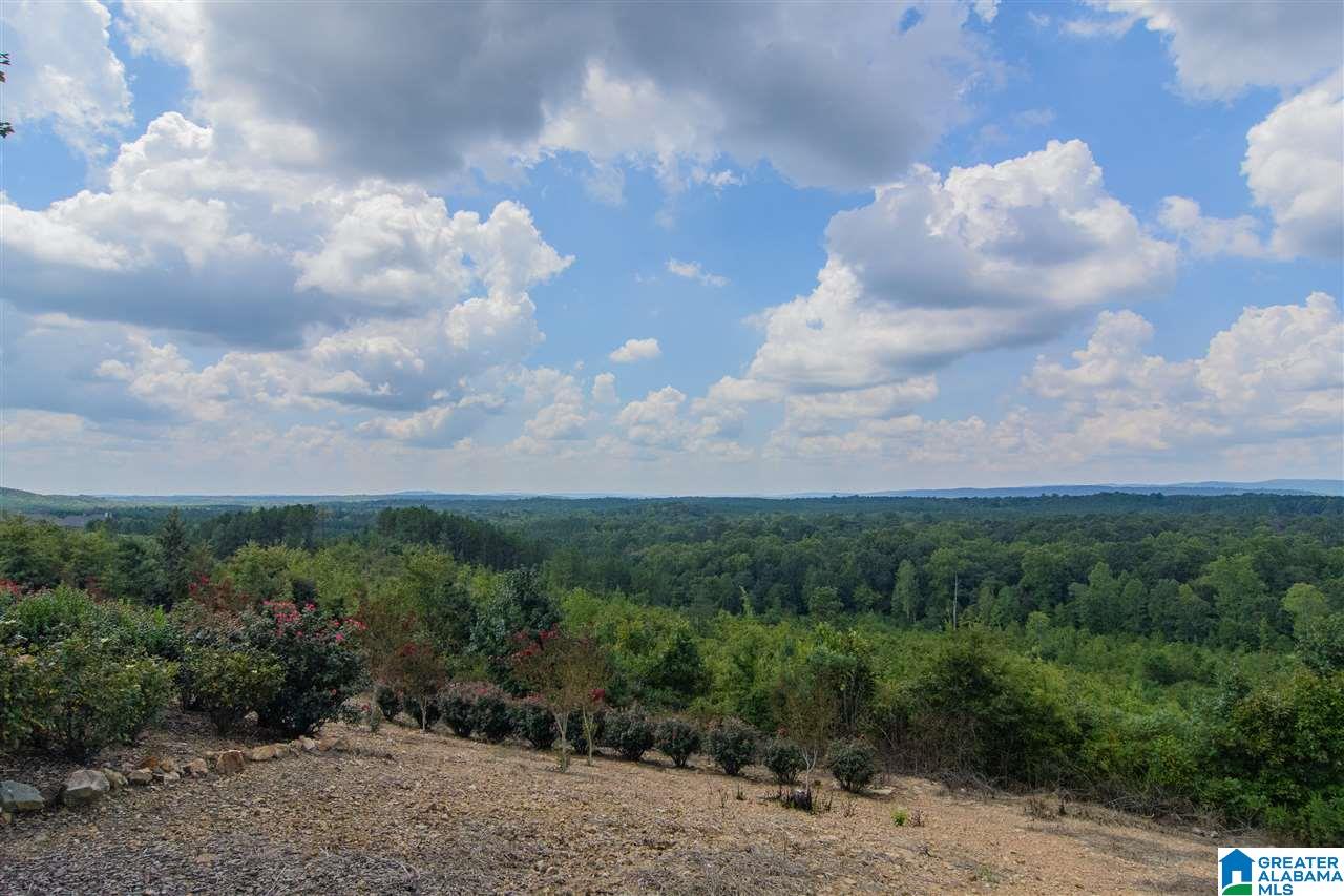 3147 Chelsea Park Ridge Chelsea, AL 35043 - Photo 38 of 40