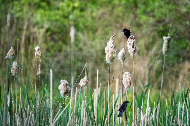 $4,500 | 789 Salisbury Turnpike, Red Hook, NY 12571