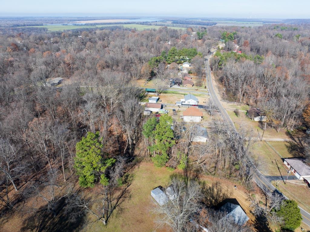 0 Ray Bluff Road Millington, TN 38053 - Photo 3 of 9 Bird's eye view