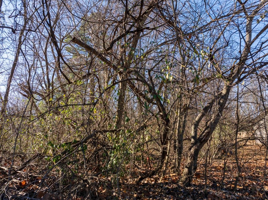 0 Ray Bluff Road Millington, TN 38053 - Photo 6 of 9 View of landscape