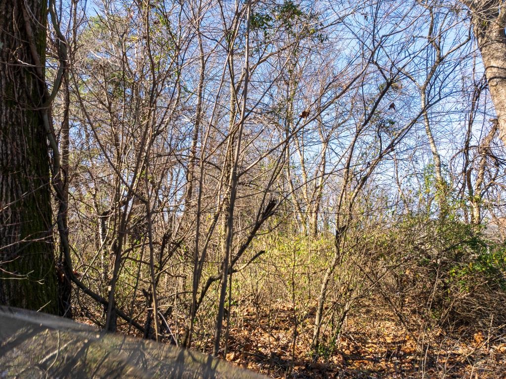 0 Ray Bluff Road Millington, TN 38053 - Photo 7 of 9 View of landscape