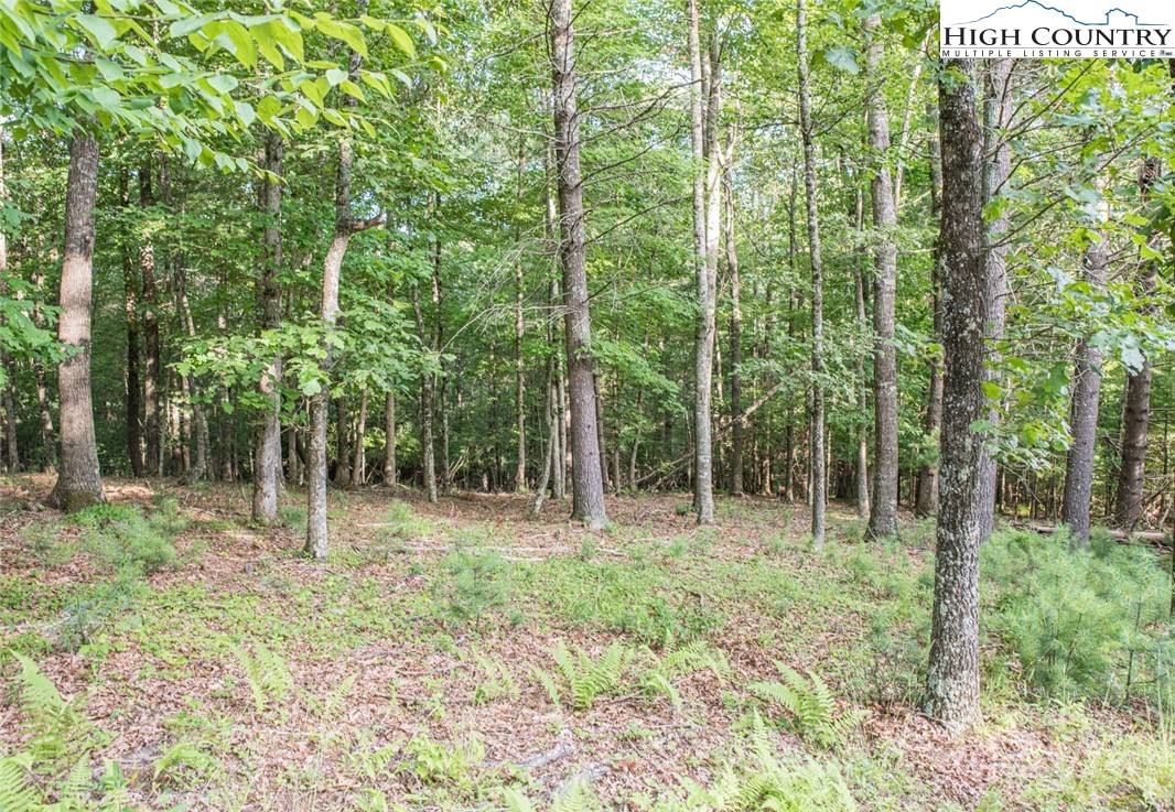 Tbd - Lot 38 Tbd - Road Crumpler, NC 28617 - Photo 8 of 23 Gallery Image 8