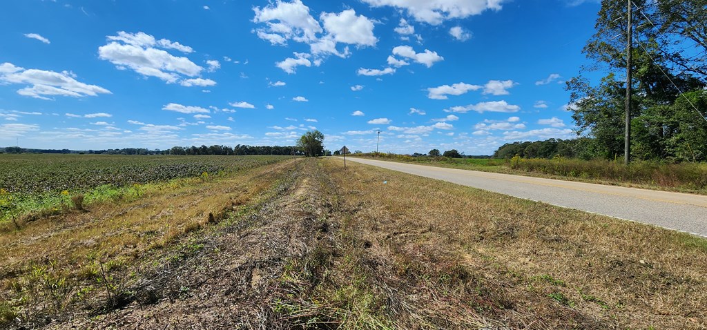 92 County Road 92 Slocomb, AL 36375 - Photo 13 of 32