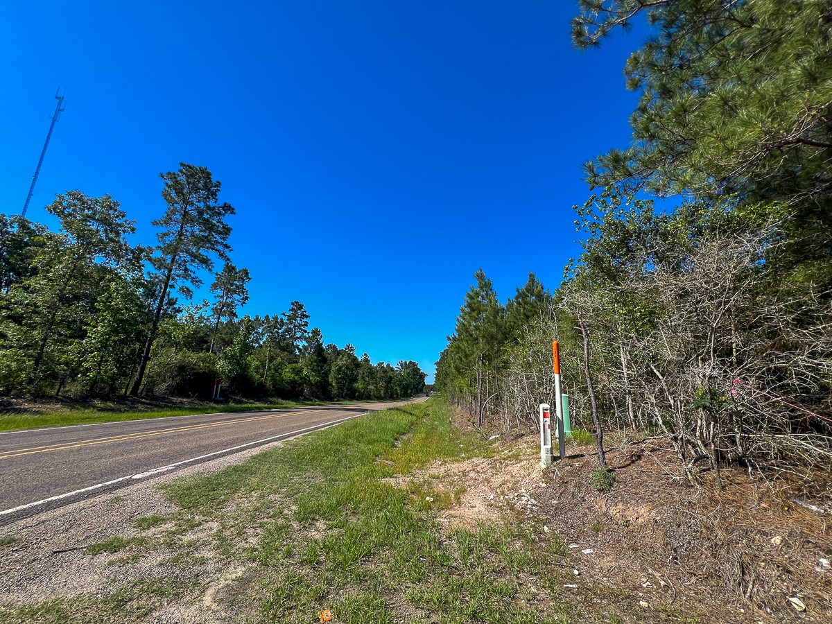 355 Eliot Trinity, TX 75862 - Photo 9 of 13