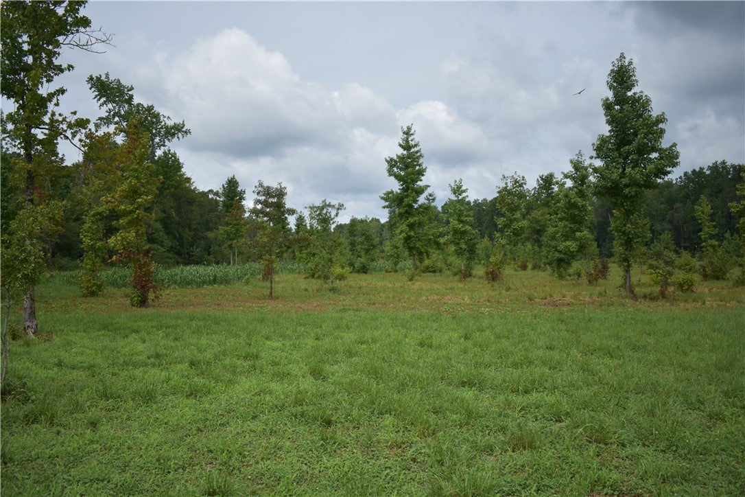 93 Ensminger Road Auburn, AL 36879 - Photo 8 of 10 Gallery Image 8