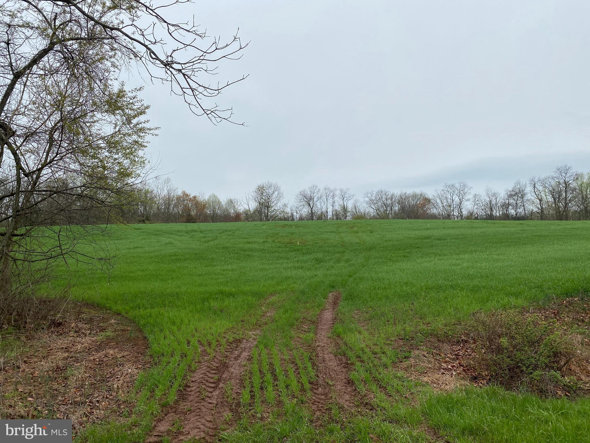 Stone Road Taneytown, MD 21787 - Photo 4 of 10 View from sign at driveway entrance