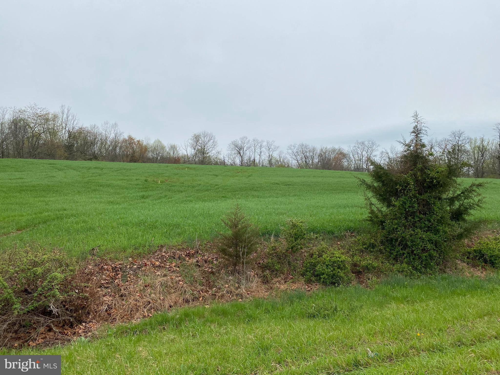 Stone Road Taneytown, MD 21787 - Photo 5 of 10 Open portion of lot