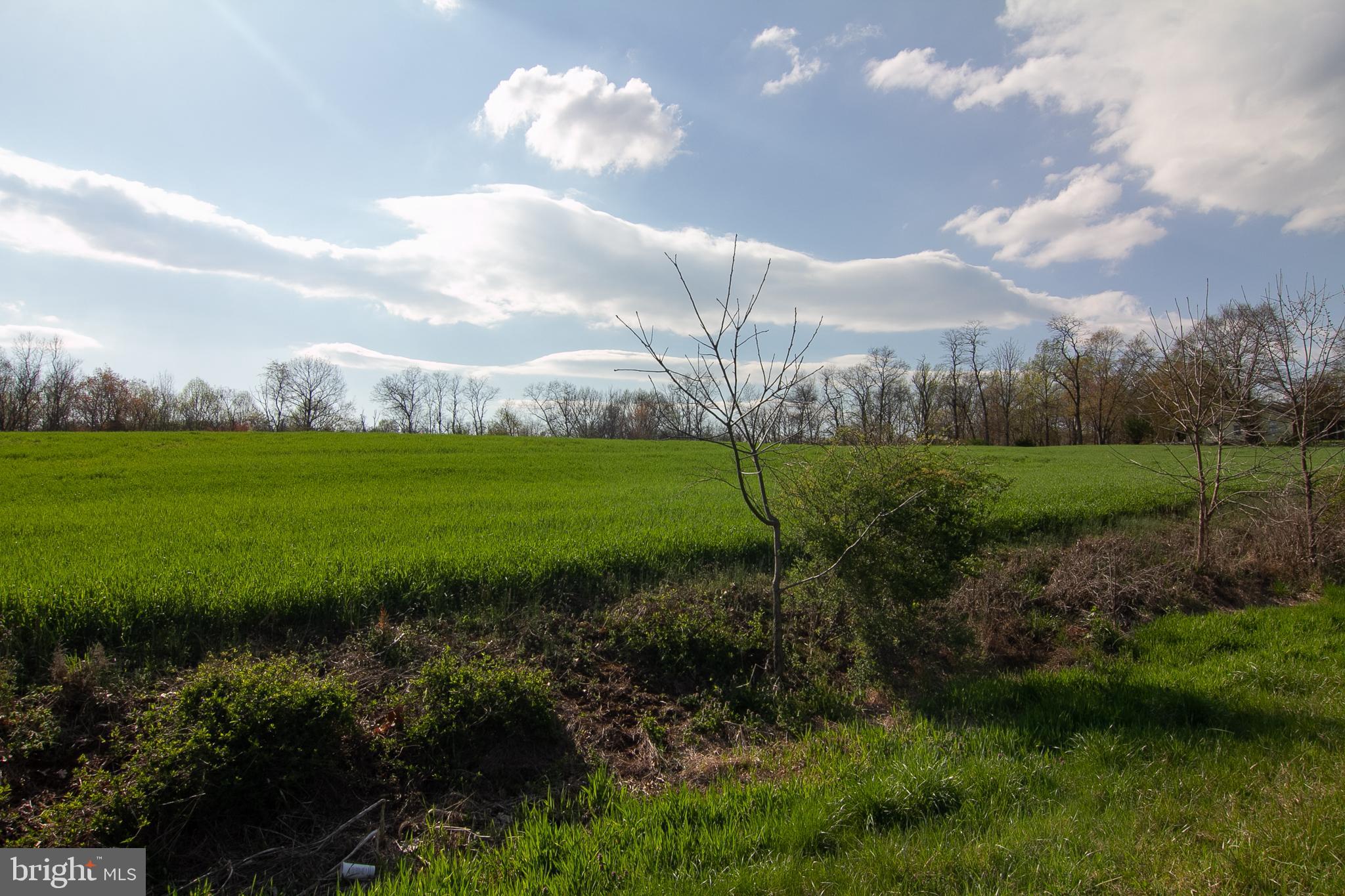Stone Road Taneytown, MD 21787 - Photo 6 of 10 Gallery Image 6