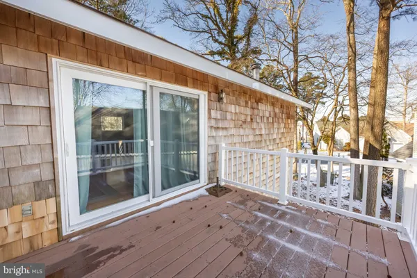 a view of backyard with large tree