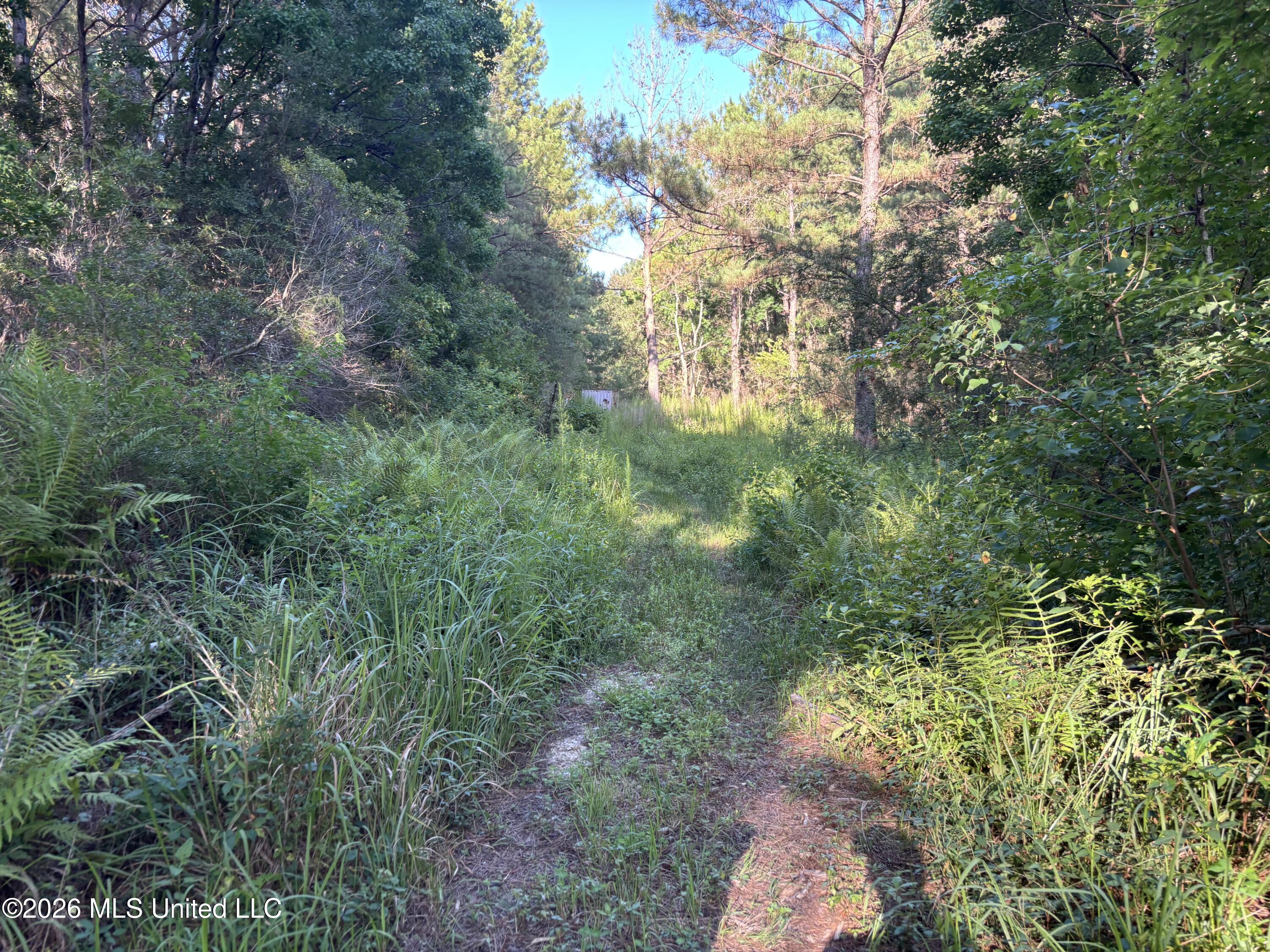 Clark Lane Gulfport, MS 39503 - Photo 20 of 26 IMG_2241