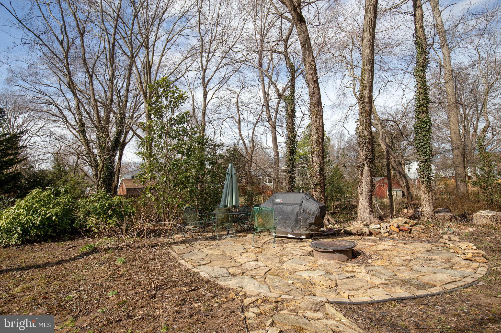 1600 Bushrod Road Alexandria, VA 22308 - Photo 53 of 54 Gallery Image 53