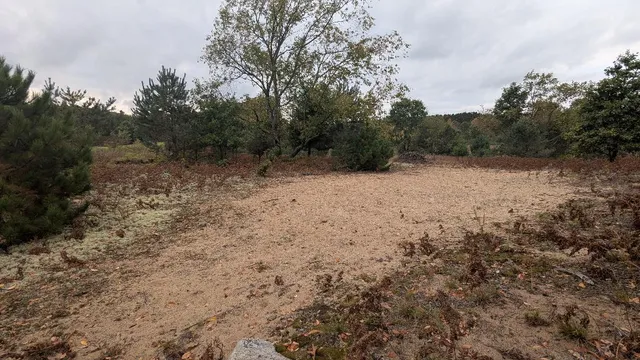 $49,900 | 0 East 14 Mile Road, Unit PARCEL C, Bitely, MI 49309