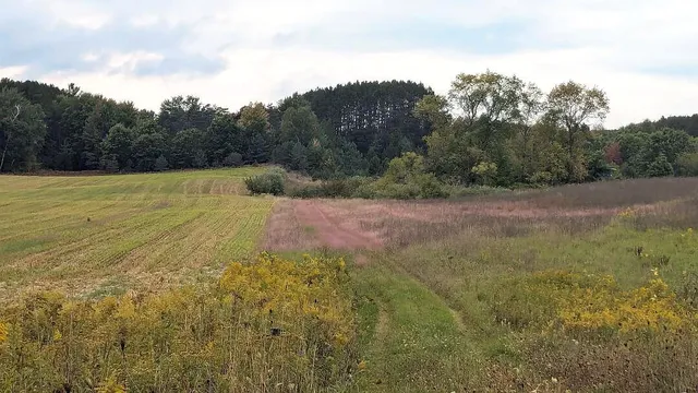 $49,900 | 0 East 14 Mile Road, Unit PARCEL C, Bitely, MI 49309