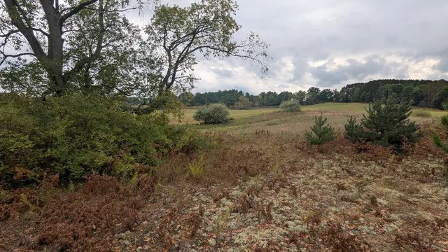 $49,900 | 0 East 14 Mile Road, Unit PARCEL C, Bitely, MI 49309