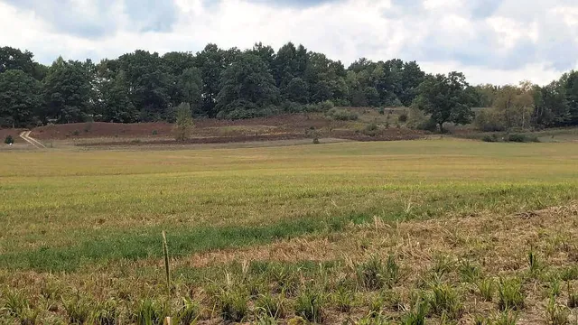 $49,900 | 0 East 14 Mile Road, Unit PARCEL C, Bitely, MI 49309