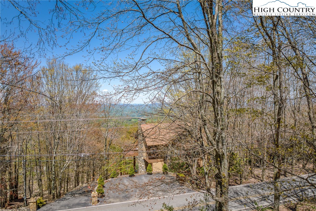 201 Grassy Gap Loop Road Beech Mountain, NC 28604 - Photo 10 of 16 a view of a door of the house