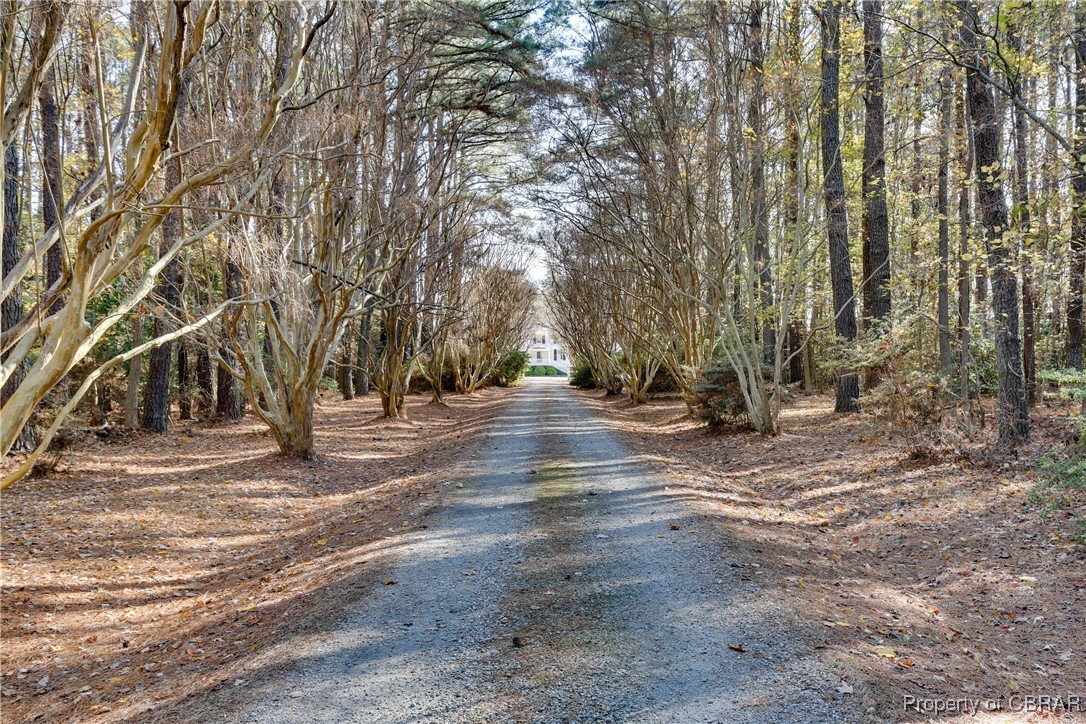 5523 White Hall Road Gloucester, VA 23061 - Photo 7 of 48 Drive lined with crepe myrtles