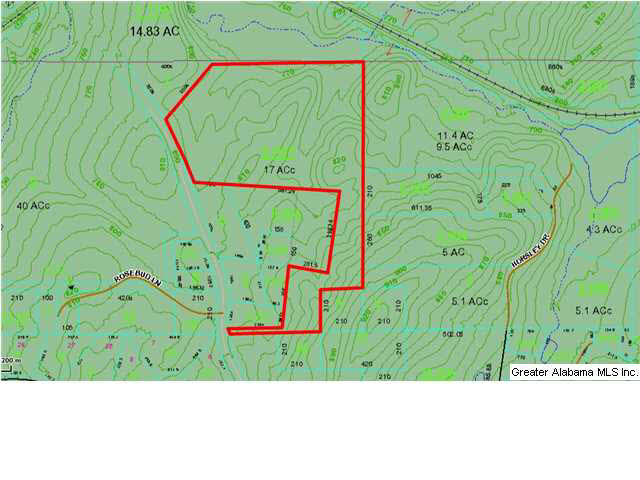 Copper Springs Road, Unit 17 Odenville, AL 35120 - Photo 7 of 7