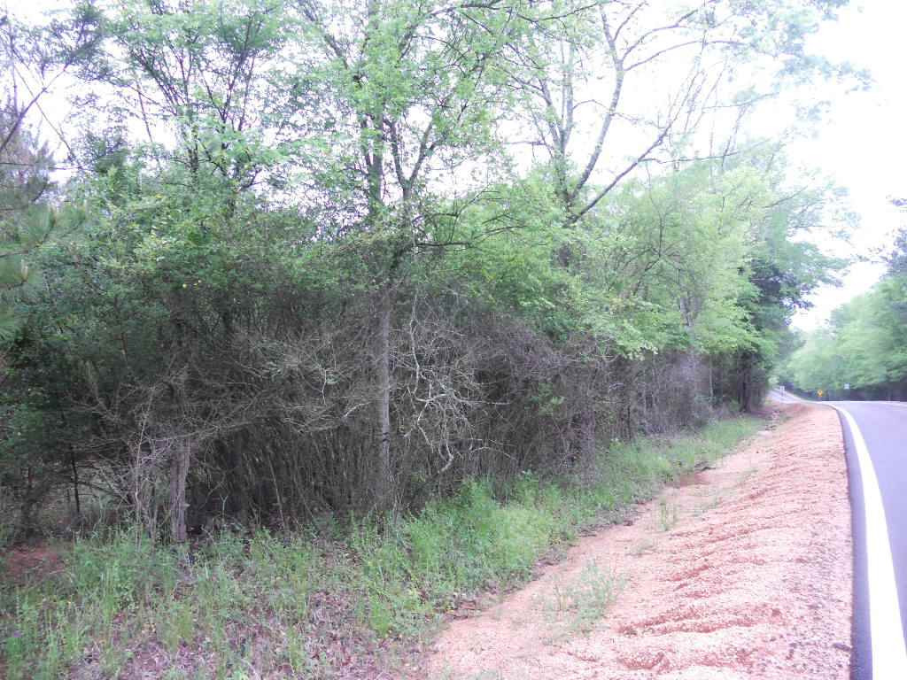 1 Stage Road Morton, MS 39117 - Photo 1 of 1 Photo 1