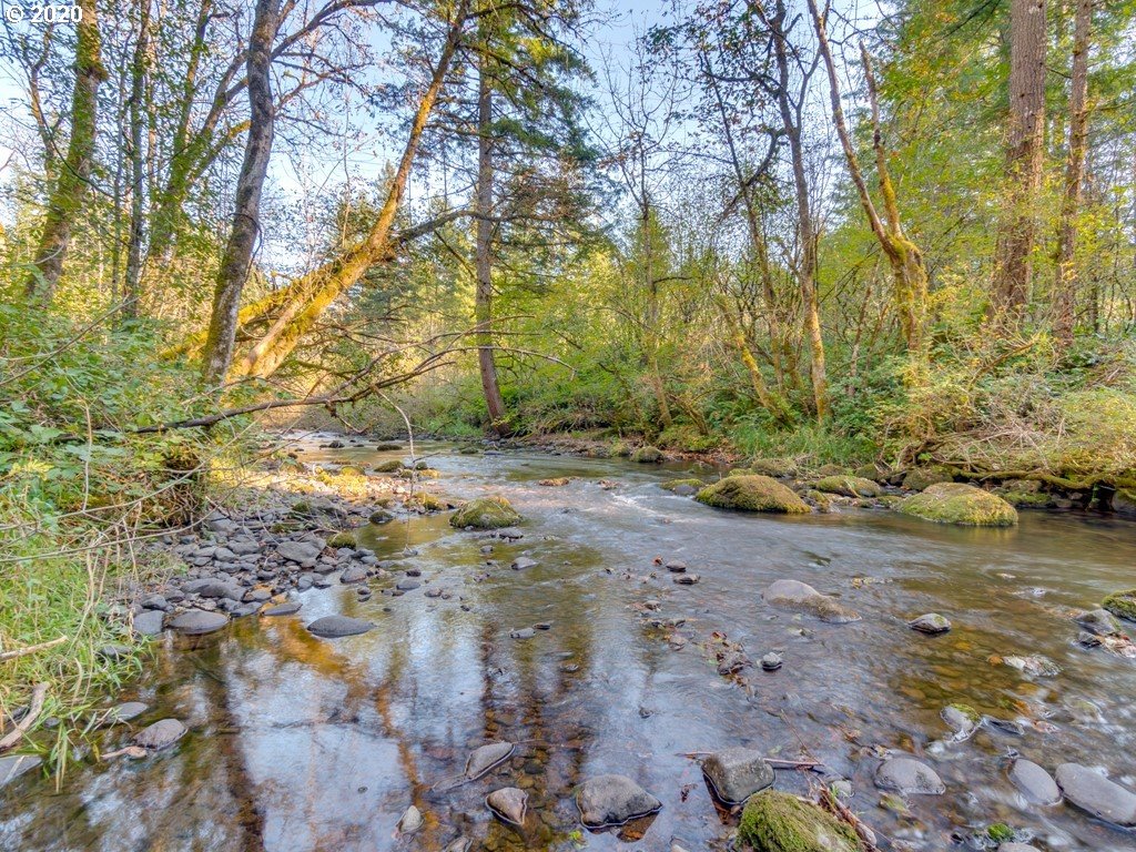 30417 Northeast Stauffer Road Camas, WA 98607 - Photo 4 of 32