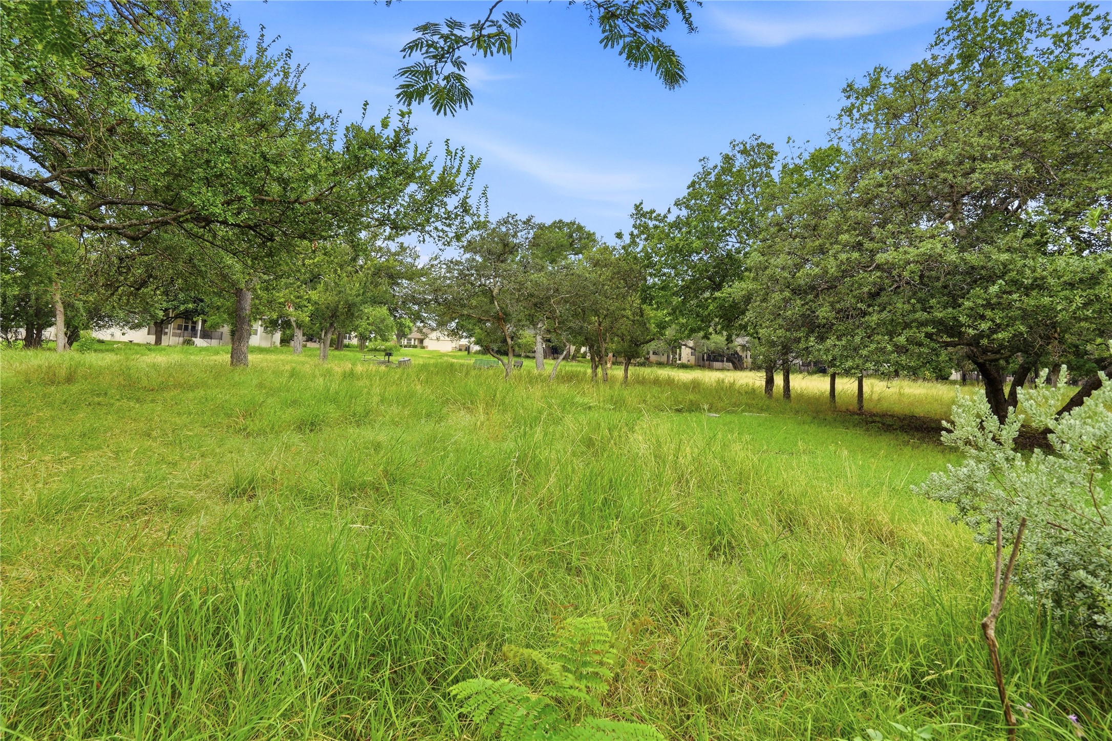117 Whitewing Way Georgetown, TX 78633 - Photo 25 of 27 This home backs to a quiet green space