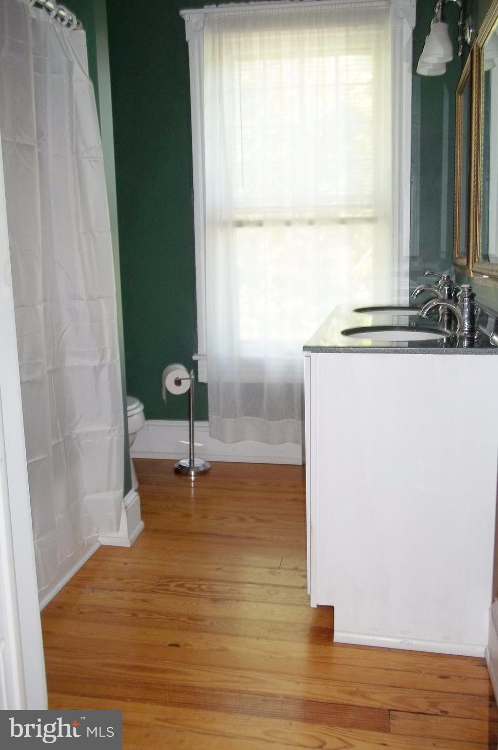 113 Central Avenue Ridgely, MD 21660 - Photo 14 of 29 Bath (Master)