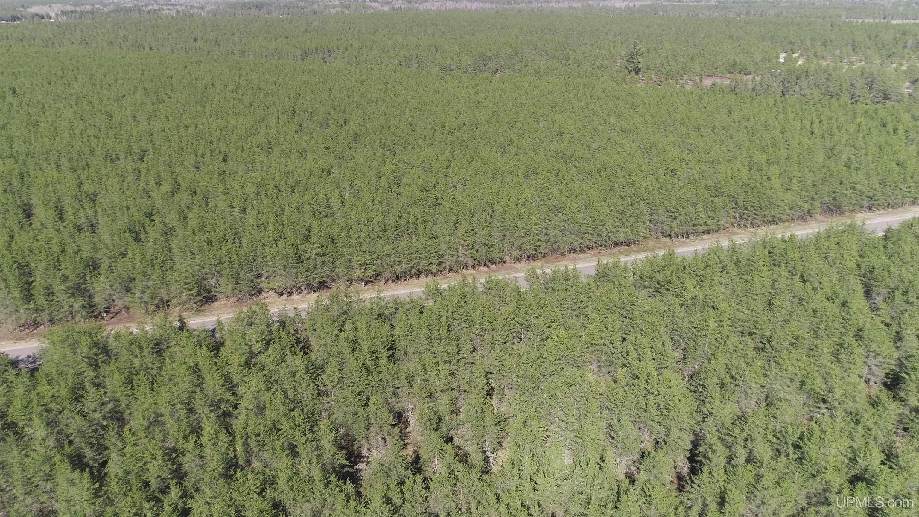 2 Rice Lake Road Gwinn, MI 49841 - Photo 13 of 24