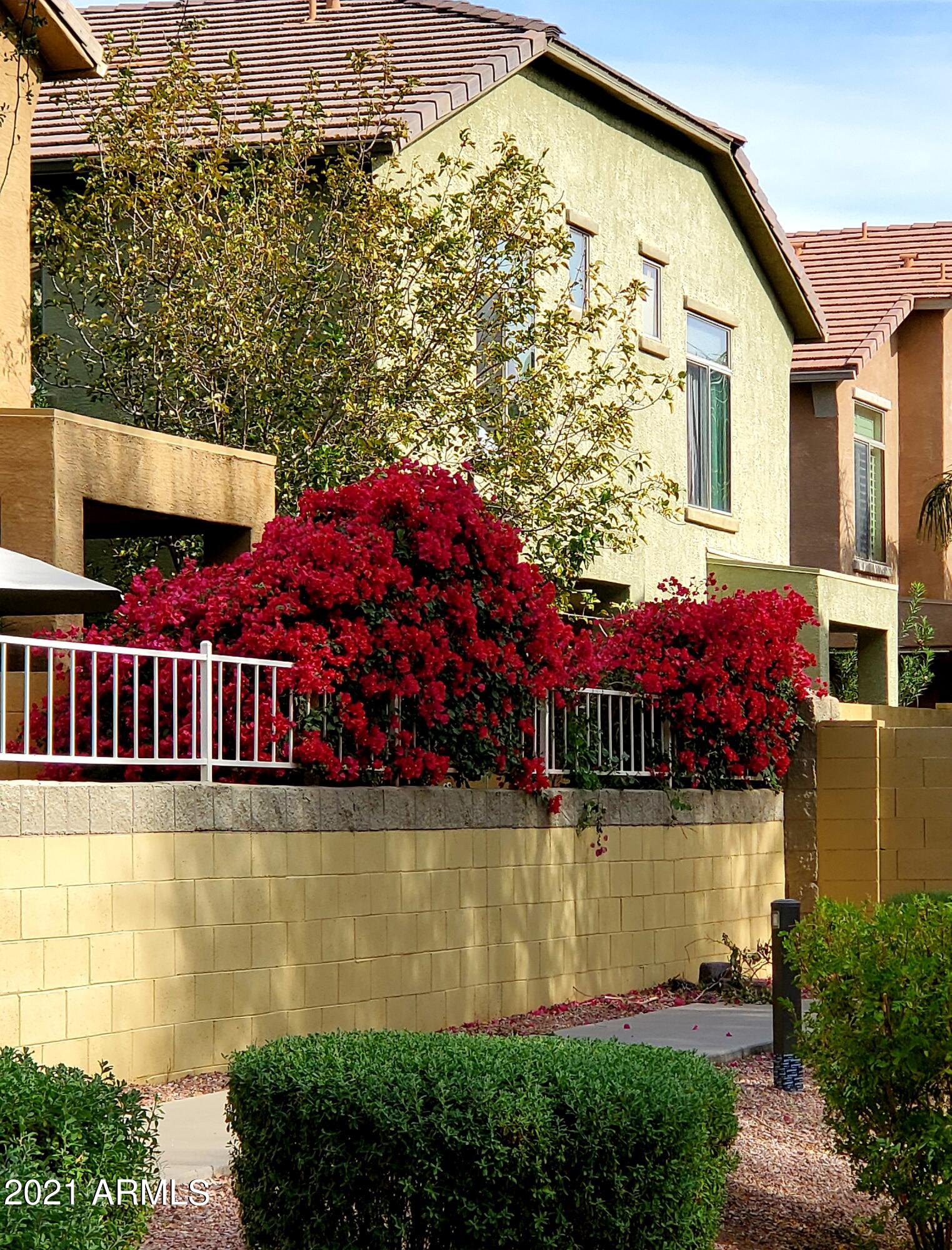 2150 East Bell Road, Unit 1108 Phoenix, AZ 85022 - Photo 9 of 13 Your Back Yard