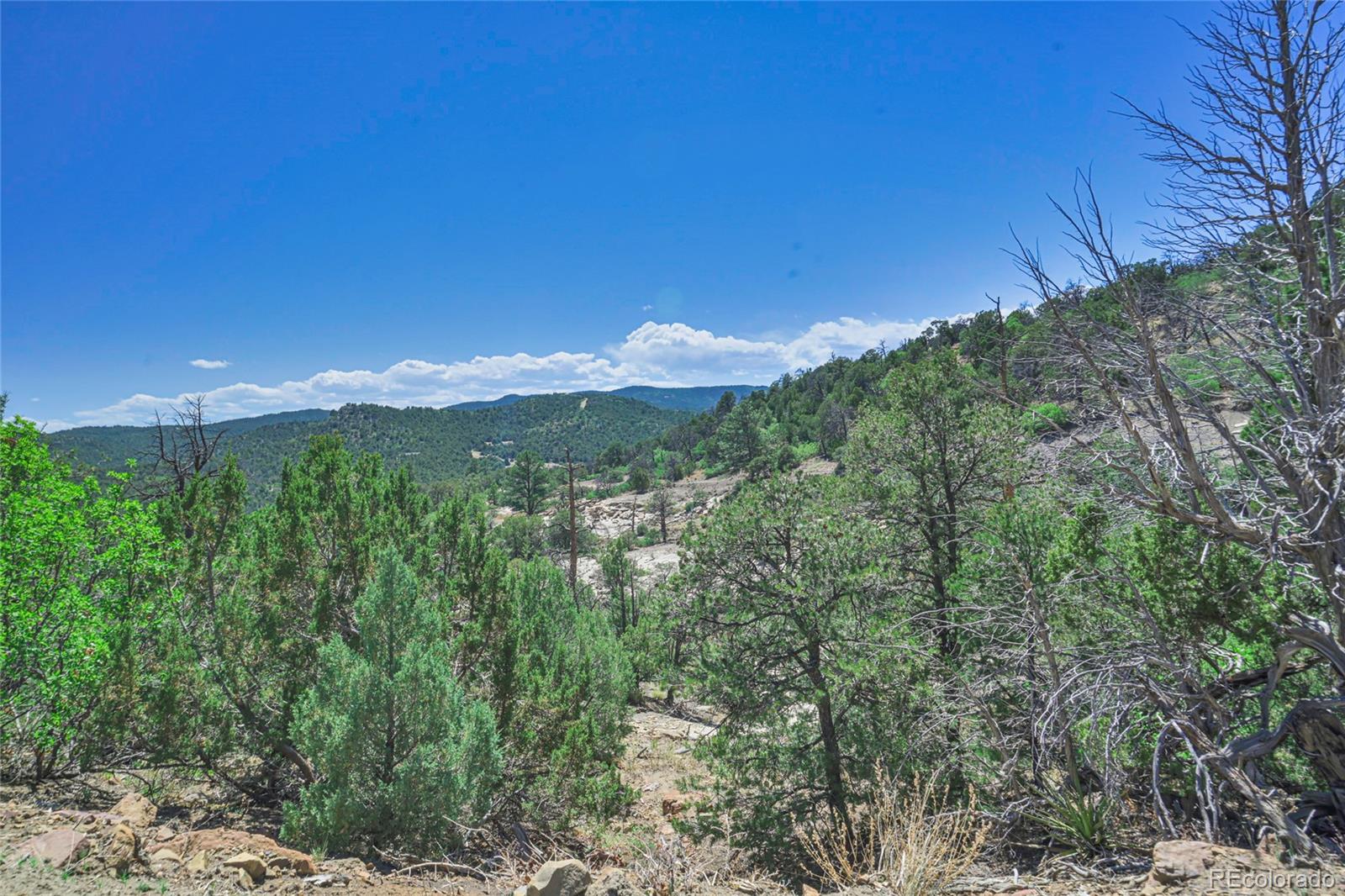 Fishers Peak Ranch Trinidad, CO 81082 - Photo 9 of 32