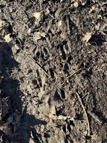 $178,638 | 0 Lot Road, Bourbon, MO 65441