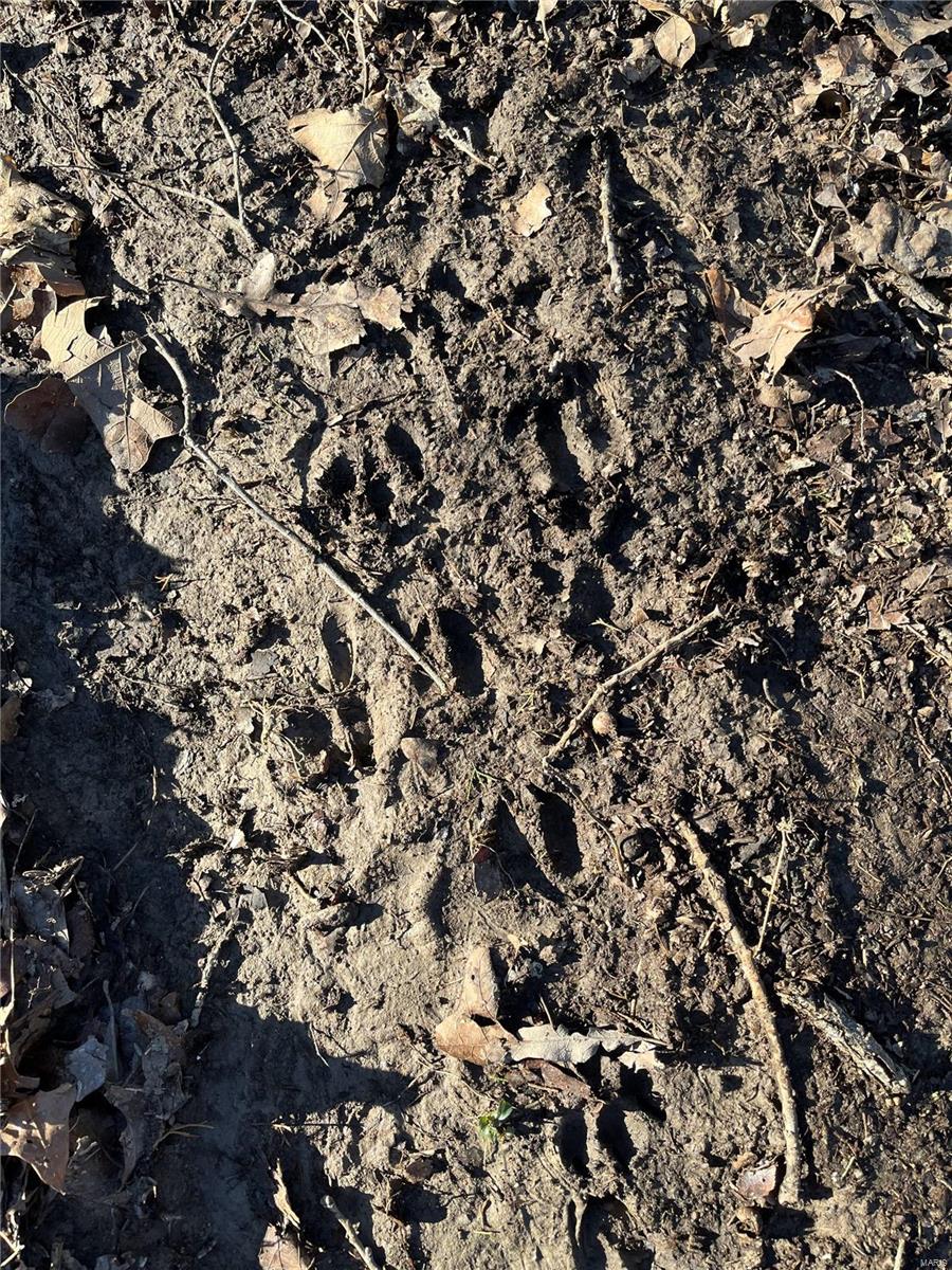 0 Lot Road Bourbon, MO 65441 - Photo 11 of 14