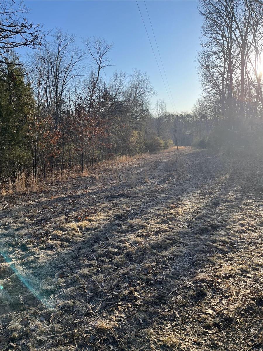 0 Lot Road Bourbon, MO 65441 - Photo 3 of 14